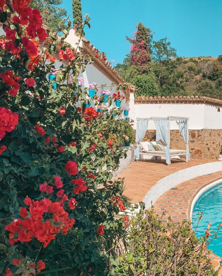 Jardines De La Reina Boutique Bed & Breakfast Marbella